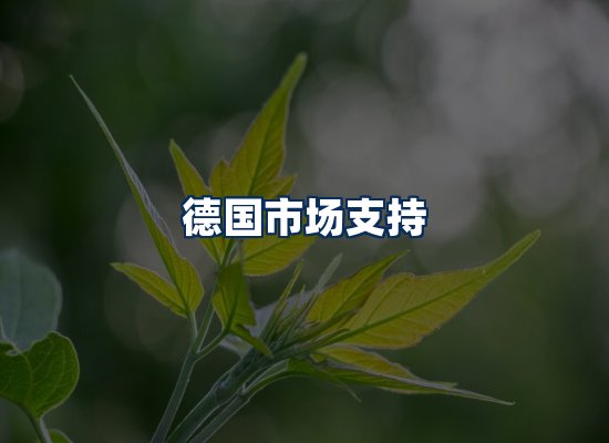 CE认证咨询服务场景