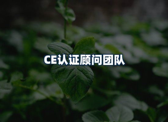 CE认证顾问团队